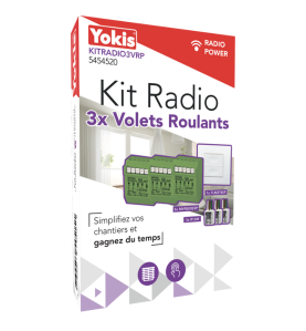 Kit modules et télécommande volet roulant 5454520 Radio Power