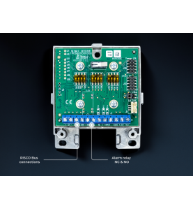 Détecteur sismique BUS RISCO RK66S000000 Confodis